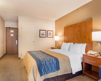 Standard Room, 1 Queen Bed, Non Smoking