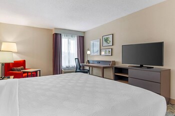 Room, 1 King Bed, Non Smoking