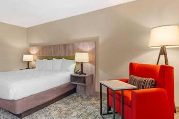 Room, 1 King Bed, Non Smoking