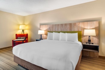 Room, 1 King Bed, Accessible, Non Smoking