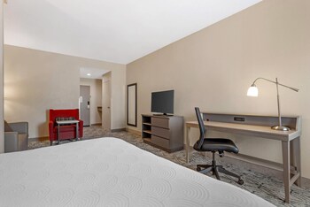 Studio, 1 King Bed with Sofa bed, Non Smoking