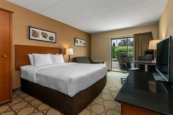 Standard Room, 1 Queen Bed with Sofa bed, Non Smoking