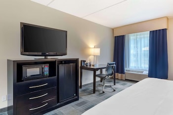Suite, 1 Queen Bed, Non Smoking, Refrigerator & Microwave (with Sofabed)