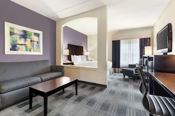 Suite, 1 Queen Bed, Non Smoking, Refrigerator & Microwave (with Sofabed)