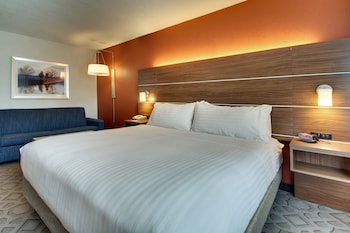 Standard Room, 1 King Bed with Sofa bed