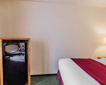 Room, 1 Queen Bed, Non Smoking