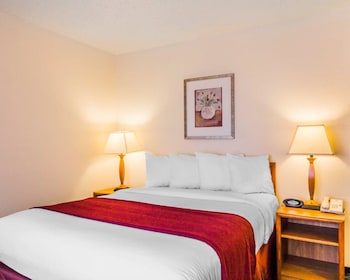 Room, 1 Queen Bed, Non Smoking