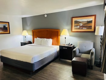 Room, 1 King Bed, Non Smoking