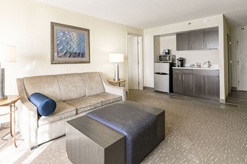 Suite, 1 Bedroom