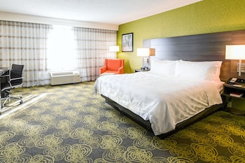 Suite, 1 King Bed (Walk-In Shower)