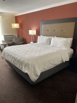 Standard Room, 1 King Bed