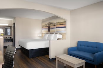 Room, 1 King Bed, Non Smoking