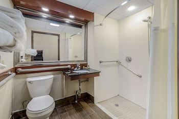 Standard Room, 1 King Bed, Accessible, Non Smoking (Walk-in Shower)