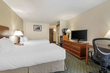 Standard Room, 2 Double Beds, Accessible, Non Smoking
