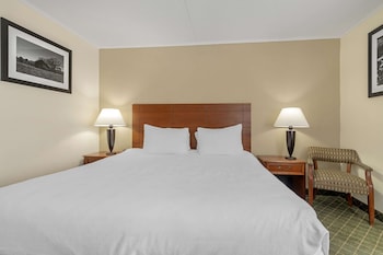 Standard Room, 1 King Bed, Accessible, Non Smoking (Walk-in Shower)