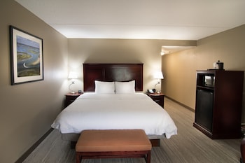 Room, 1 King Bed, Accessible, Non Smoking