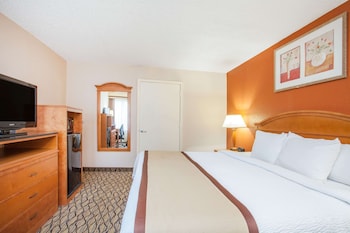 Room, 1 King Bed, Accessible, Non Smoking (Mobility Accessible)