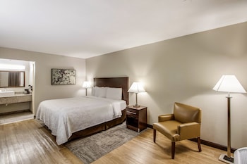 Deluxe Room, 1 King Bed, Refrigerator (Smoke Free)