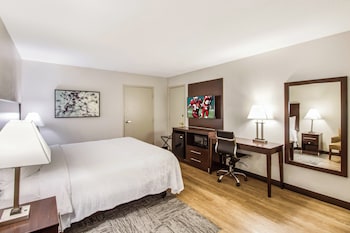Superior Room, 1 King Bed, Accessible (Roll-In Shower, Smoke Free)