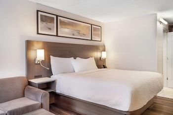 Room, 1 King Bed, Non Smoking