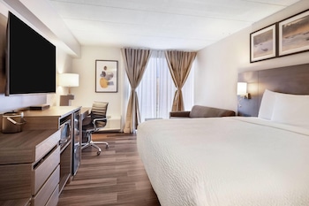 Room, 1 King Bed, Non Smoking