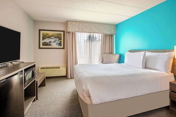 Room, 1 Queen Bed, Non Smoking (Mobility, Roll-in Shower)
