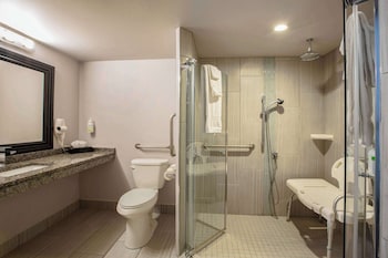 Room, 1 Queen Bed, Non Smoking (Mobility, Roll-in Shower)