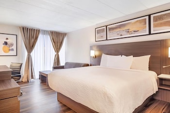 Room, 1 King Bed, Non Smoking