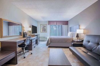 Room, 1 Queen Bed, Non Smoking (Pet-friendly)