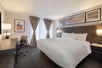 Room, 1 Queen Bed, Non Smoking (Mobility, Roll-in Shower)