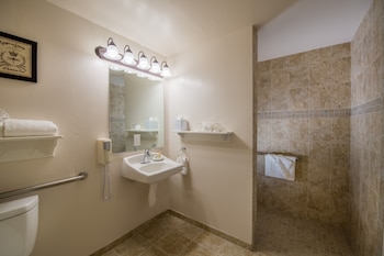 Deluxe Room, 1 King Bed, Roll-in Shower
