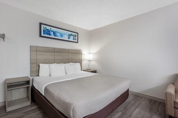 Room, 1 King Bed, Non Smoking