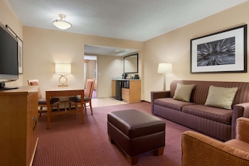 Premium Suite, 2 Double Beds (Wellness, In-room air purification)