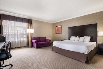 Standard Room, 1 King Bed, Non Smoking, Jetted Tub (with Sofabed)