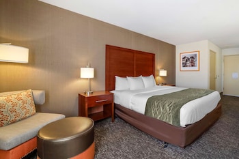 Room, 1 King Bed, Accessible, Non Smoking