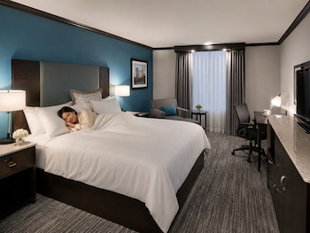 Room, 1 King Bed with Sofa bed, Non Smoking