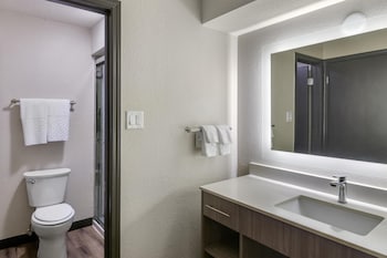 Suite, 1 King Bed, Non Smoking, Kitchen (with Sofabed)
