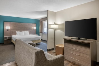 Suite, 1 King Bed, Accessible, Kitchen (with Sofabed)
