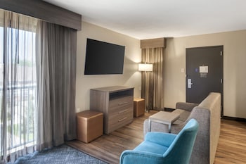 Suite, 1 King Bed, Non Smoking, Kitchen (with Sofabed)