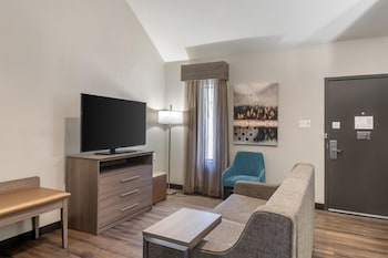 Suite, Multiple Beds, Non Smoking, Kitchen (with Sofabed)