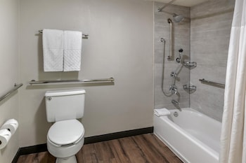 Suite, 1 King Bed, Accessible, Kitchen (with Sofabed)