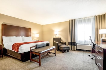 Standard Room, 1 King Bed with Sofa bed, Non Smoking
