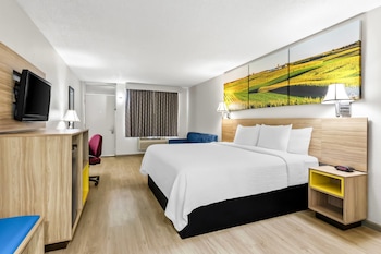 Room, 1 King Bed, Non Smoking