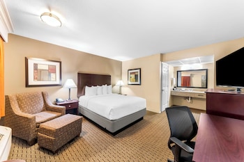 Standard Room, 1 Queen Bed, Accessible, Non Smoking (Walk-in Shower)