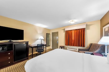Standard Room, 1 Queen Bed, Accessible, Non Smoking (Walk-in Shower)