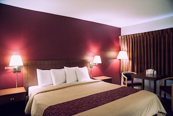 Superior Room, 1 King Bed, Non Smoking