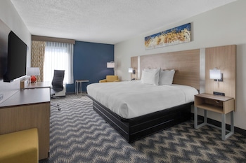 Standard Room, 1 King Bed, Non Smoking
