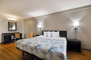 Deluxe Room, 1 Queen Bed, Non Smoking, Refrigerator & Microwave