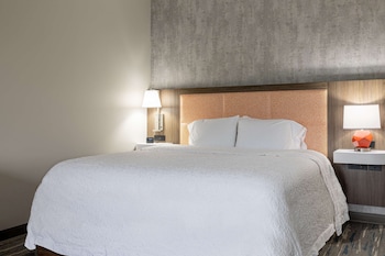 Room, 1 King Bed
