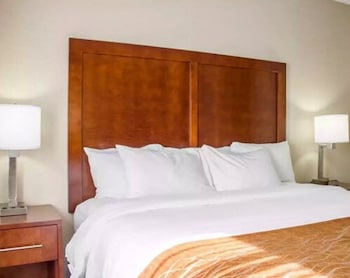 Room, 1 King Bed, Accessible, Non Smoking